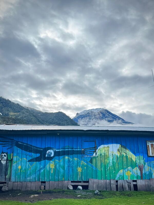 Rural school with a mural.